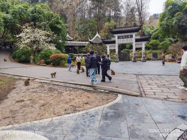 黔灵山公园旅行图片 4