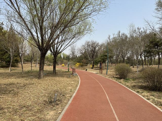 老山城市休闲公园旅行图片 7