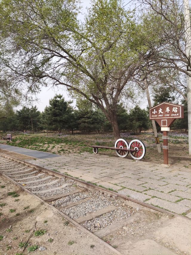 南苑森林湿地公园旅行图片 6