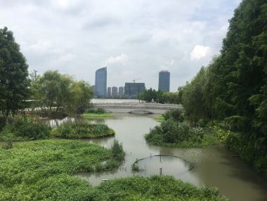 天镜湖公园旅行图片 2