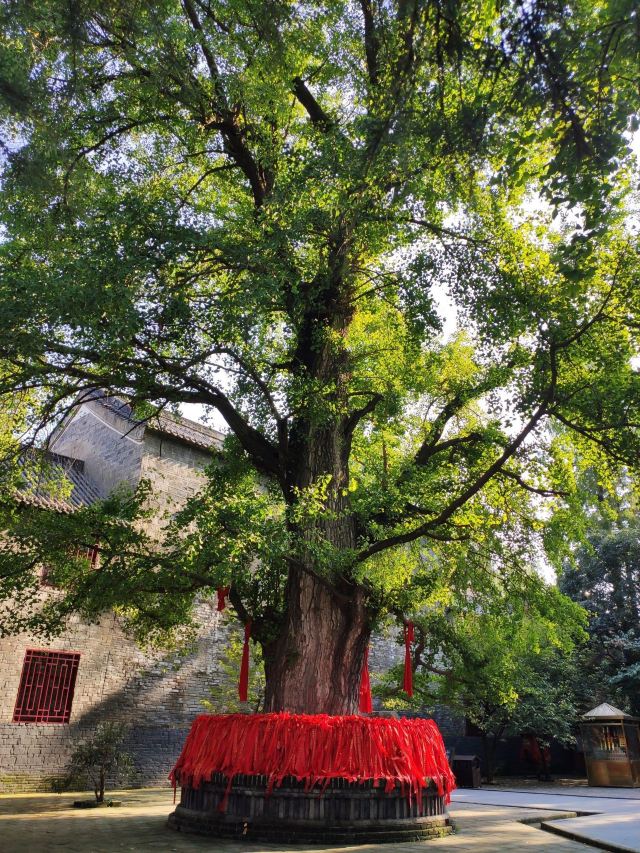 勑赐广德寺旅行图片 6