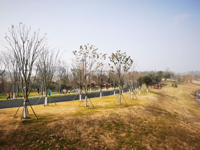 骆岗公园旅行图片 6