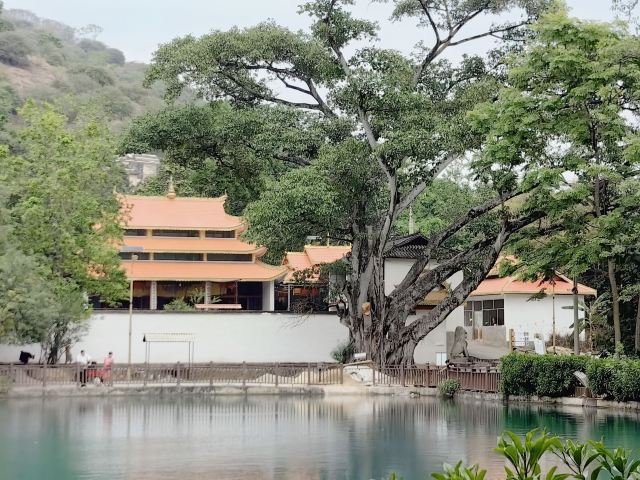 高黎贡国际精品咖啡文化园景区旅行图片 7