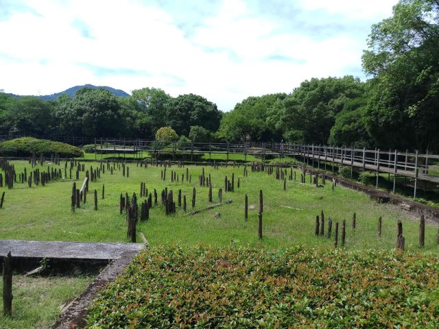 河姆渡遗址旅行图片 2
