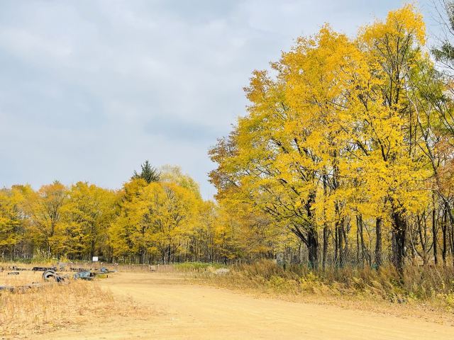 宝宇森林生态小镇旅行图片 2