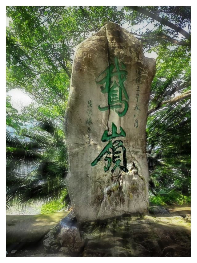 鹅岭公园旅行图片 1