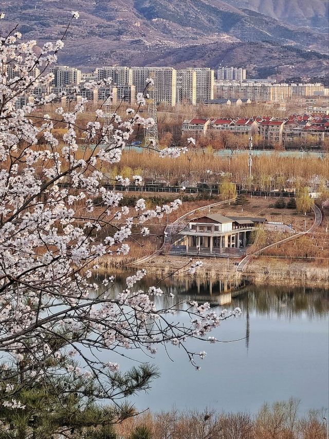 老山城市休闲公园旅行图片 11