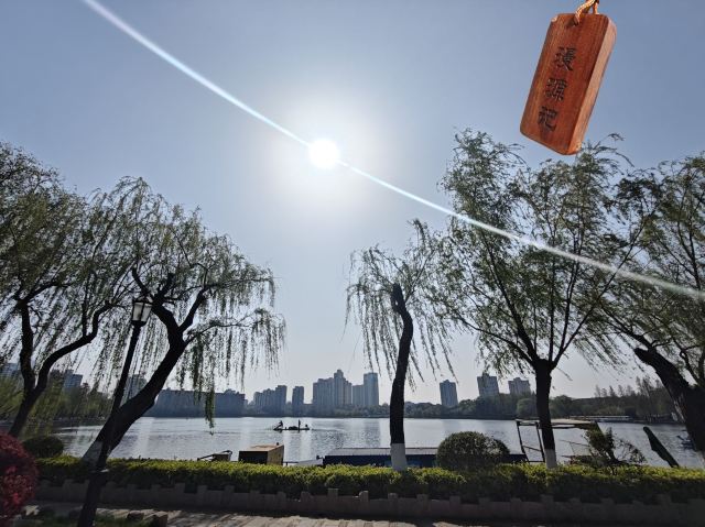 莫愁湖公园旅行图片 9
