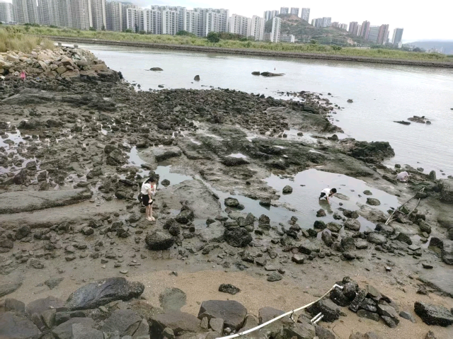 礁石公园旅行图片 2
