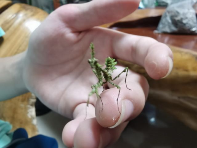桐木关双泉寺旅行图片 1