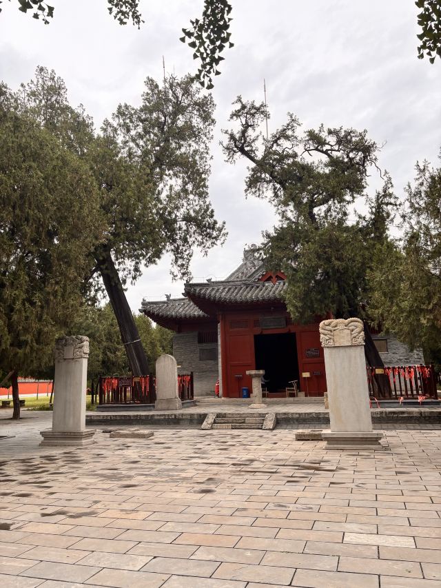 毗卢寺旅行图片 4