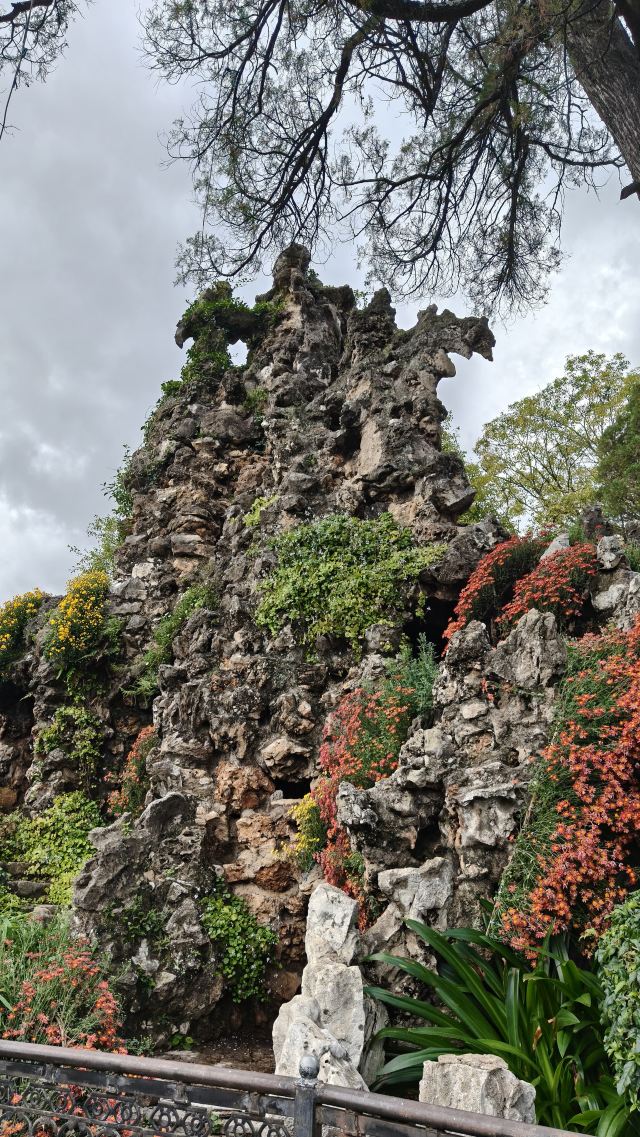 大观公园旅行图片 8