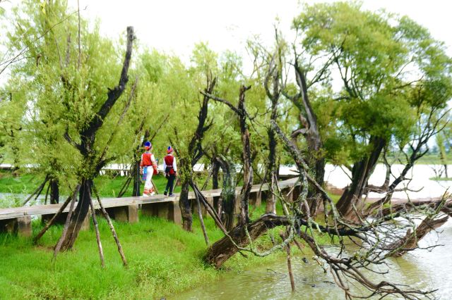 黄龙潭公园旅行图片 2