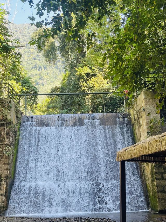 基诺山幽河谷雨林旅行图片 2