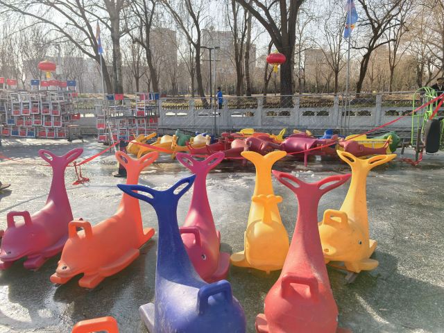 莲花池公园旅行图片 2