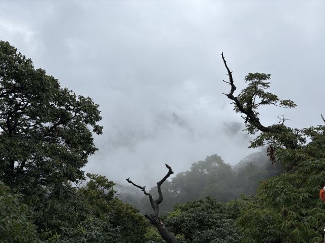 青城山景区旅行图片 2
