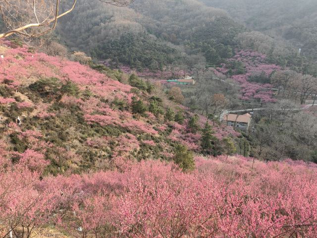 花果山风景区旅行图片 1