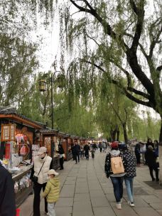 曲水亭街-济南-小菊花108