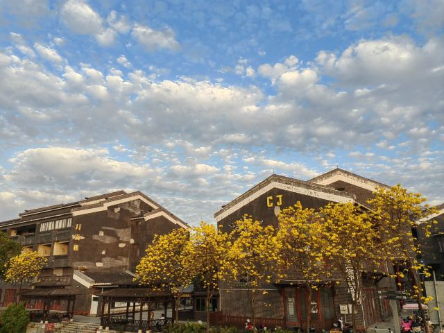 华阳湖国家湿地公园旅行图片 6