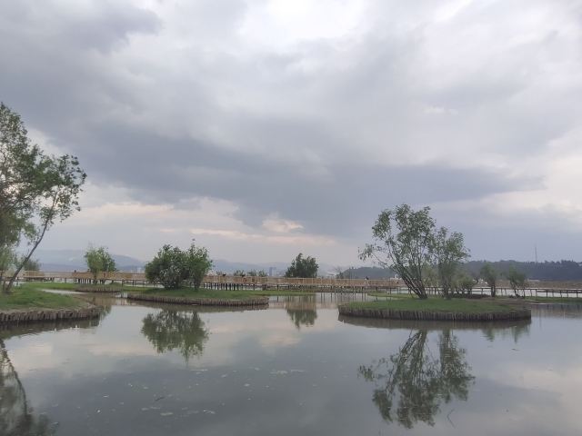 洱海月湿地公园旅行图片 12