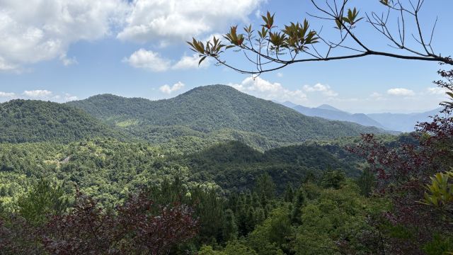 寿山石古矿洞景区旅行图片 5
