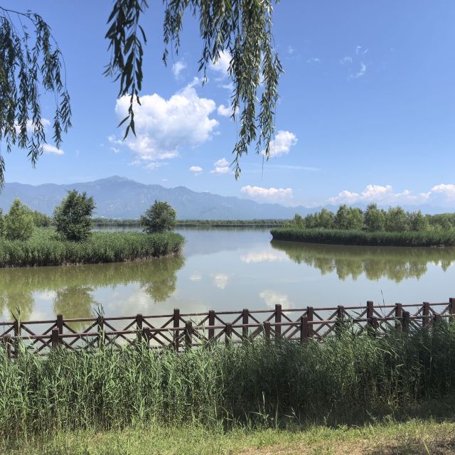 野鸭湖国家湿地公园旅行图片 9