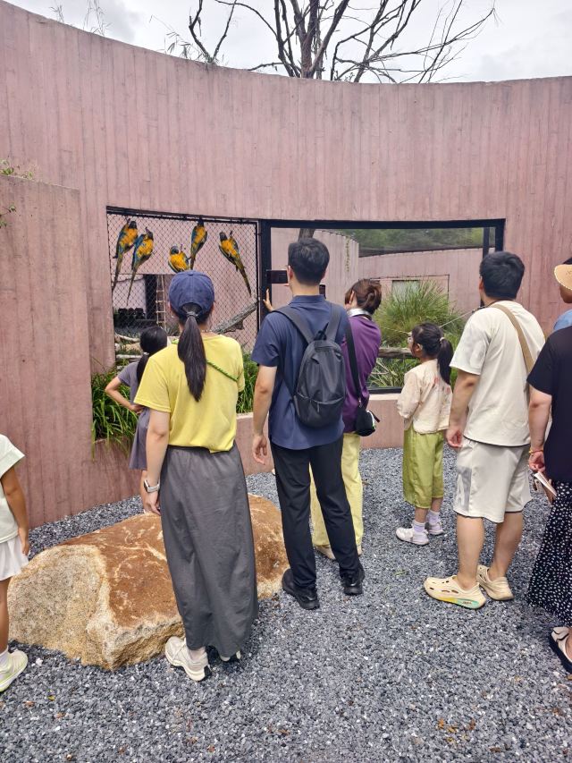 千鹦鸟舍鹦鹉主题乐园旅行图片 1