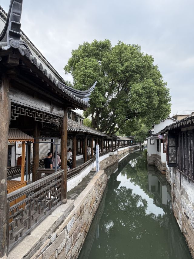 锦溪古镇旅行图片 3