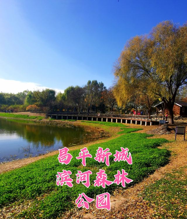 昌平新城滨河森林公园(沙河)旅行图片 1