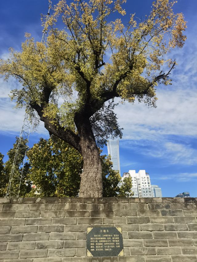 庆丰公园旅行图片 2
