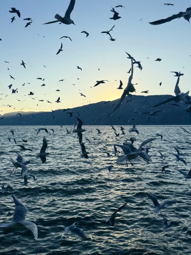海洪湿地泼水广场旅行图片 6