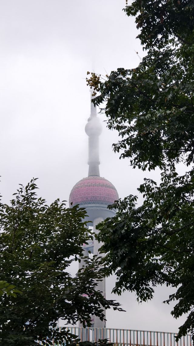 北外滩航海公园旅行图片 8