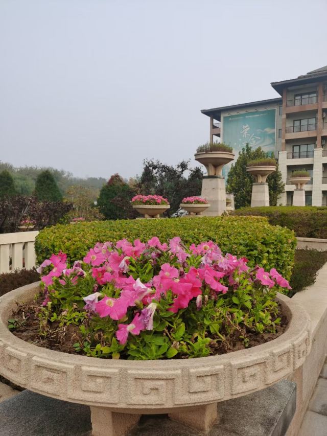 阿尔卡迪亚红桥海滩旅行图片 7