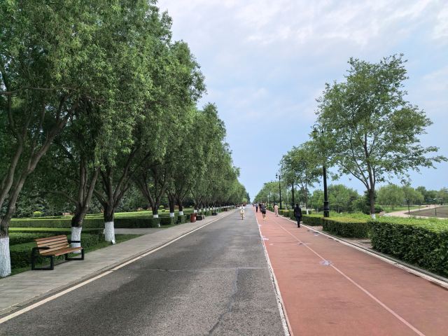 哈尔滨音乐公园旅行图片 3