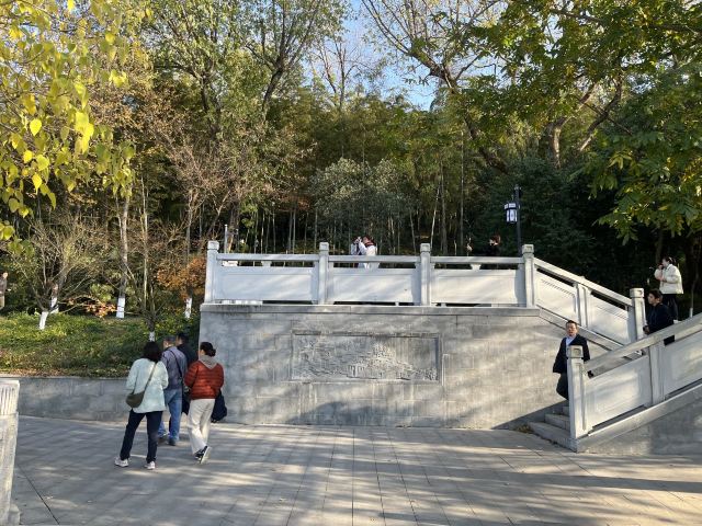 亭林园旅行图片 2
