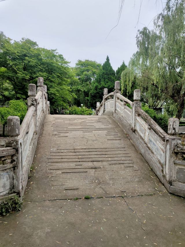 古渡公园旅行图片 12