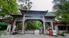 广东第一峰旅游风景区-阳山-莺语花儿