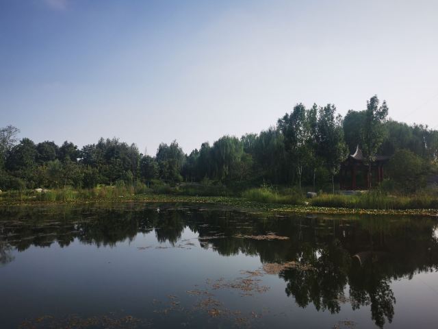 法云寺旅行图片