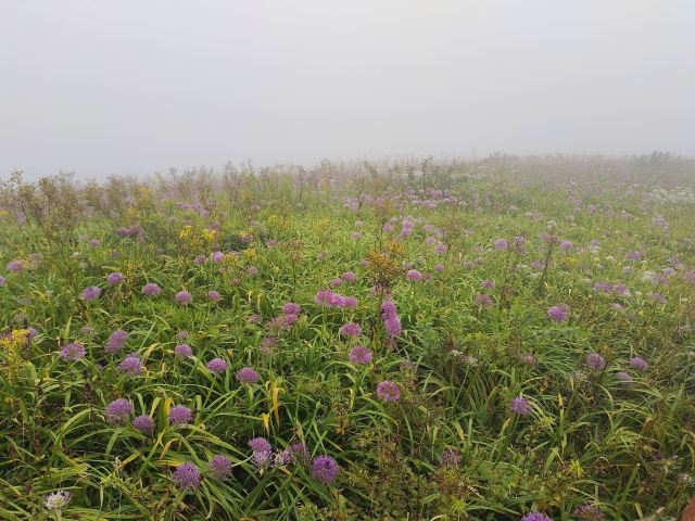 韭菜坪旅行图片 2