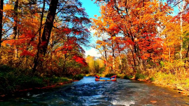 露水河国家森林公园