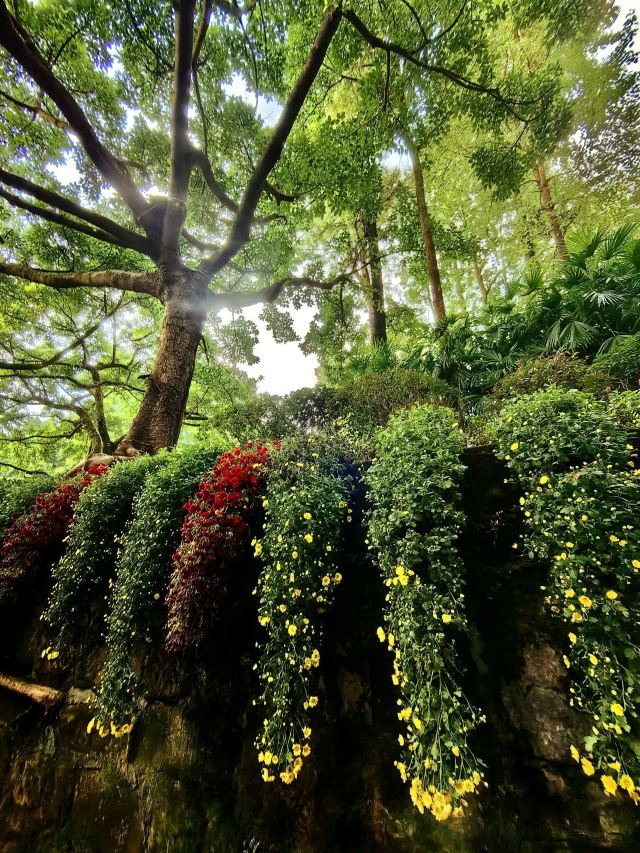 鹅岭公园旅行图片 3
