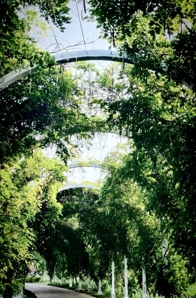 邯郸植物园旅行图片 4