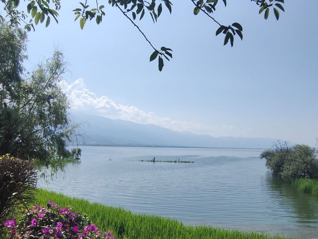 洱海月湿地公园旅行图片 3
