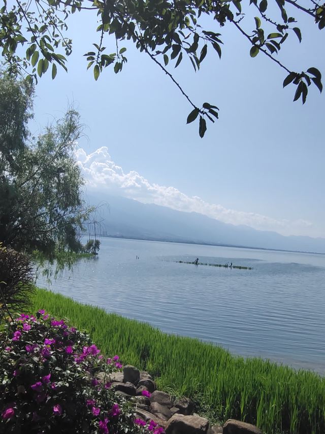 洱海月湿地公园旅行图片 1