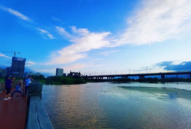 松花江湿地旅行图片 7