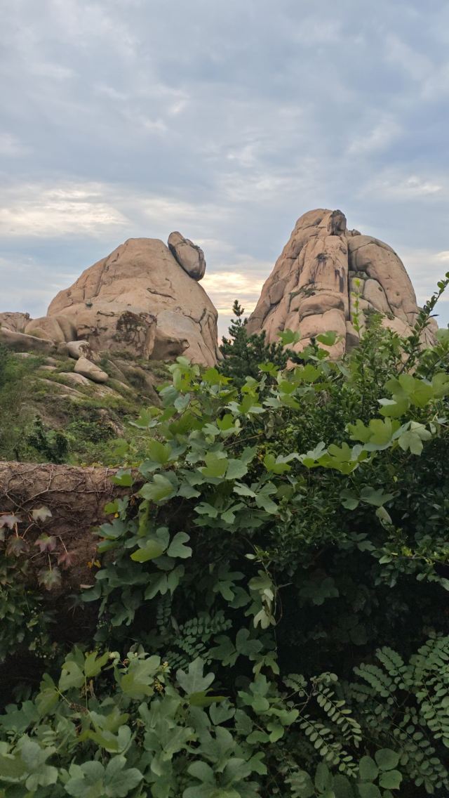 青岛大珠山景区旅行图片 4