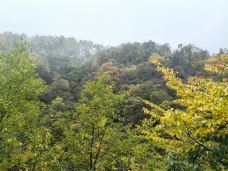 天然画廊-南江-可乐味的柠萌哒啦