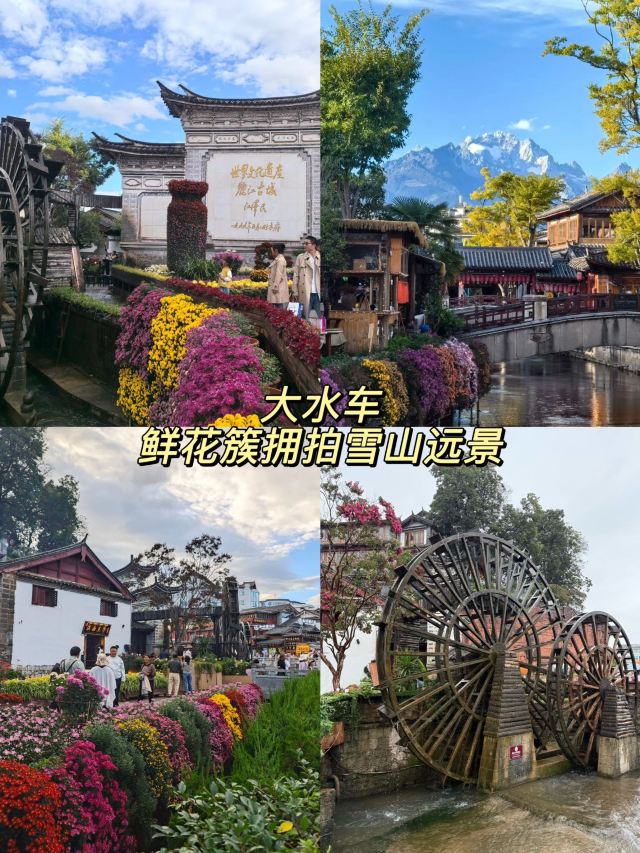 丽江古城旅行图片 6