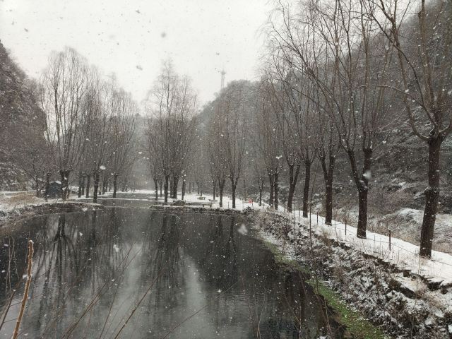 沕沕水生态风景区旅行图片 3