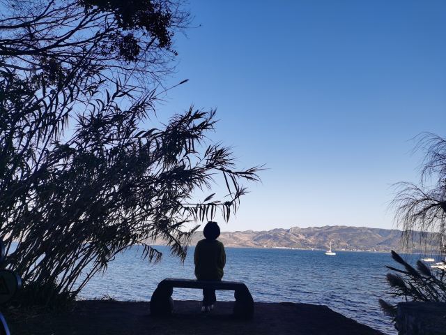抚仙湖国际度假小镇湖畔森林公园旅行图片 1